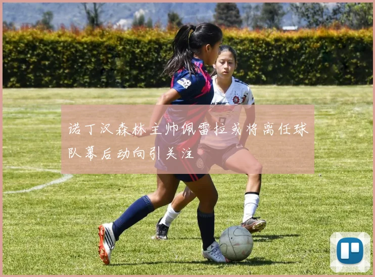诺丁汉森林主帅佩雷拉或将离任球队幕后动向引关注