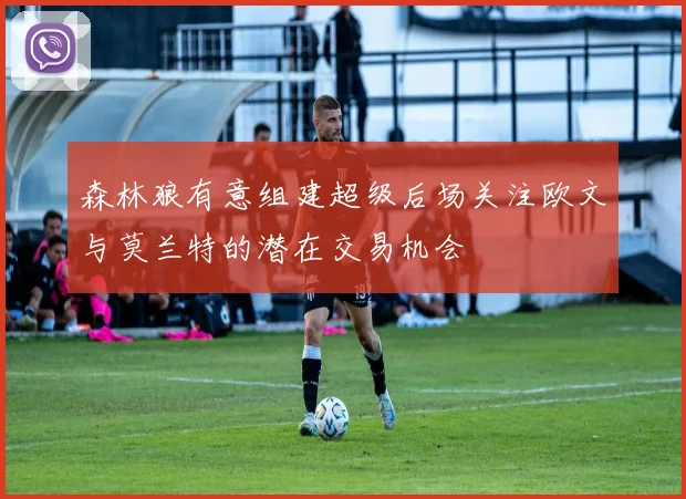 森林狼有意组建超级后场关注欧文与莫兰特的潜在交易机会