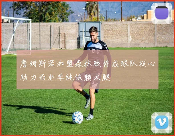 詹姆斯若加盟森林狼将成球队核心助力而非单纯依赖大腿